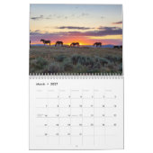 McCullough Peaks Wild Horses Kalender (Mar 2027)