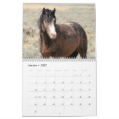 McCullough Peaks Wild Horses Kalender (Jan 2027)