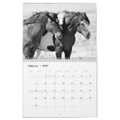 McCullough Peaks Wild Horses Kalender (Feb 2027)