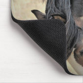 McCullough Peaks Wild Horses Muismat (Hoek)