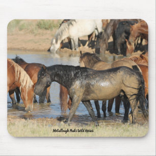 McCullough Peaks Wild Horses Muismat