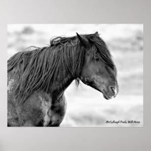 McCullough Peaks Wild Horses Poster