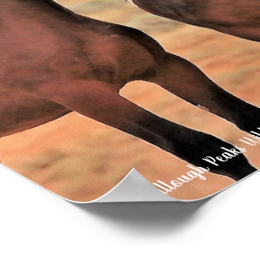 McCullough Peaks Wild Horses Poster (Hoek)