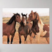 McCullough Peaks Wild Horses Poster (Voorkant)