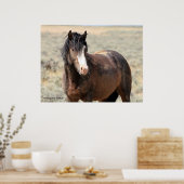 McCullough Peaks Wild Horses Poster (Keuken)