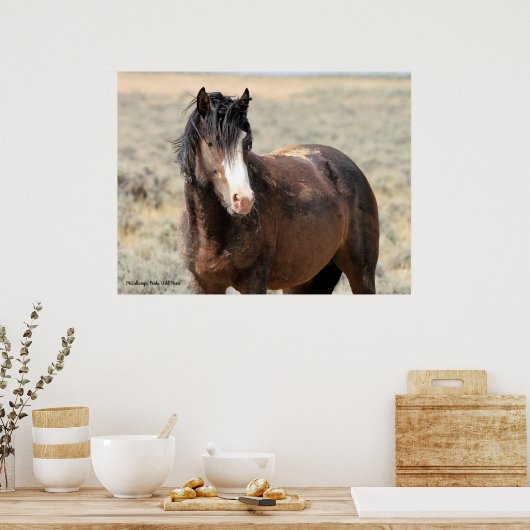 McCullough Peaks Wild Horses Poster (Keuken)