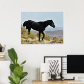 McCullough Peaks Wild Horses Poster (Thuiskantoor)