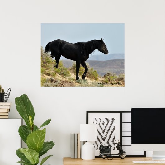 McCullough Peaks Wild Horses Poster (Thuiskantoor)