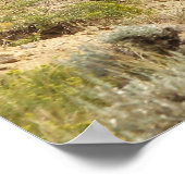 McCullough Peaks Wild Horses Poster (Hoek)