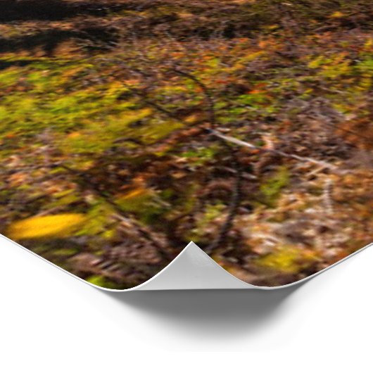 McCway-Herfsten in Julia Pfeiffer Burns natuurpark Poster (Hoek)