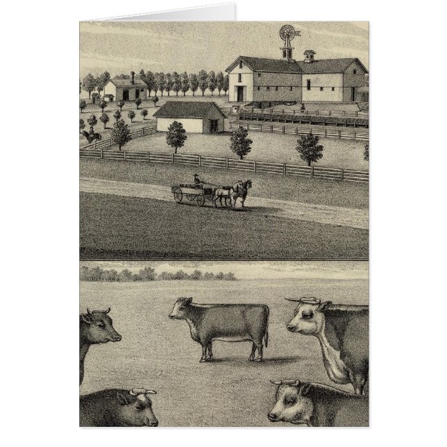 McDonald Boerderij, Nebraska (Voorkant)