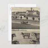 McDonald Boerderij, Nebraska Briefkaart (Voorkant / Achterkant)