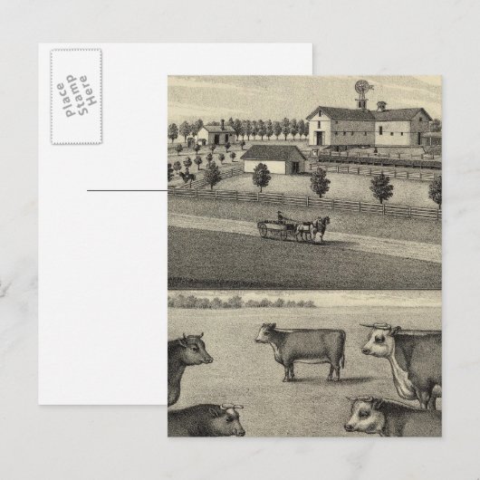 McDonald Boerderij, Nebraska Briefkaart (Voorkant / Achterkant)