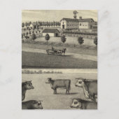 McDonald Boerderij, Nebraska Briefkaart (Voorkant)