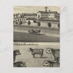 McDonald Boerderij, Nebraska Briefkaart