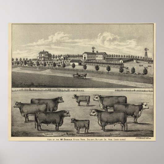 McDonald Boerderij, Nebraska Poster (Voorkant)