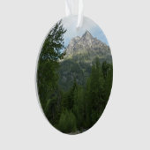 McDonald Creek in Glacier National Park Ornament (voorkant)