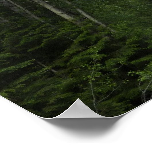 McDonald Creek in Glacier National Park Poster (Hoek)