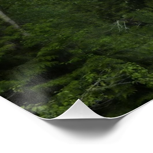 McDonald Creek in Glacier National Park Poster (Hoek)