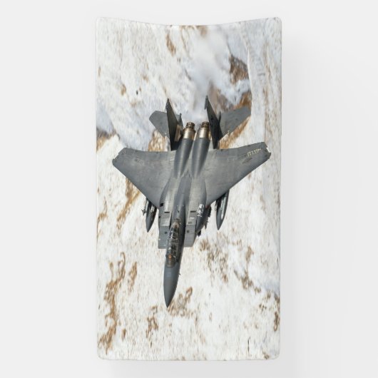 McDonnell Douglas F-15 Eagle Spandoek (Verticaal)