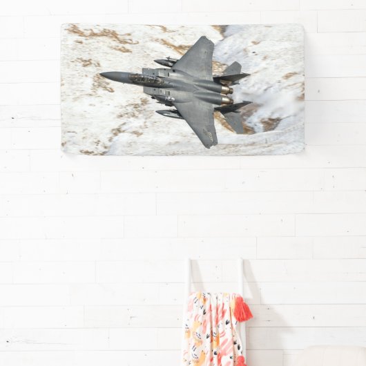 McDonnell Douglas F-15 Eagle Spandoek (Insitu)