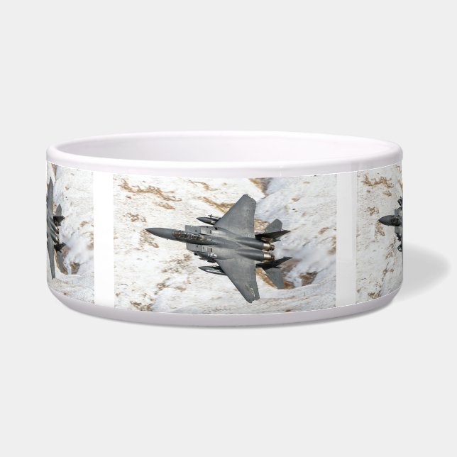 McDonnell Douglas F-15 Eagle Voerbakje (Voorkant)