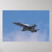 McDonnell Douglas F/A-18 Hornet Poster (Voorkant)