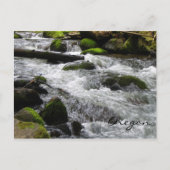 McDowell Creek, Oregon Briefkaart (Voorkant)