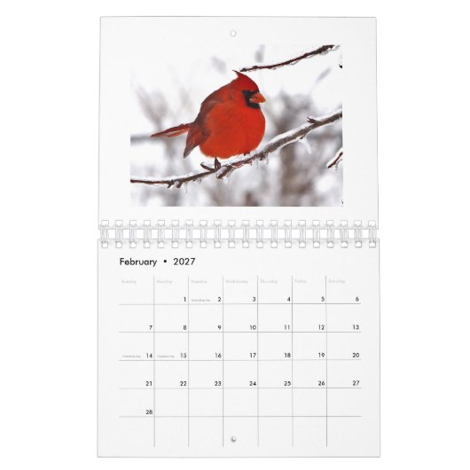 McFleur's Lens  Kalender (Feb 2027)