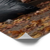 McGolrick Park - 5 slapende Mannen Poster (Hoek)