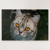 McGonagall kattenpuzzel Legpuzzel (Horizontaal)