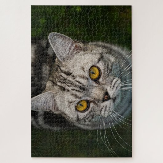 McGonagall kattenpuzzel Legpuzzel (Verticaal)