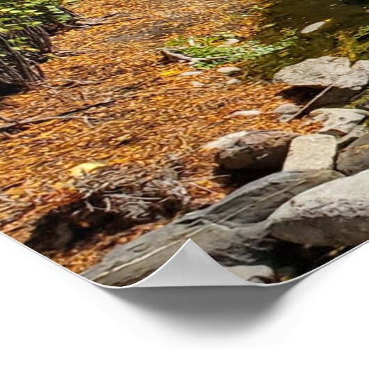 McHenry, Illinois Fox River Boatway Poster (Hoek)