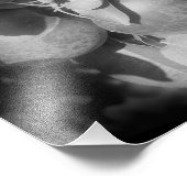 McIntosh appels op boom in zwart en wit 8x8 Foto Afdruk (Hoek)