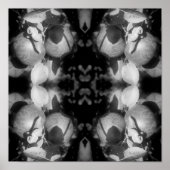 McIntosh appels op boomzwart en wit Abstract Poster (Voorkant)