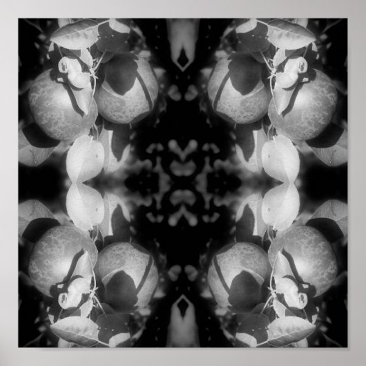 McIntosh appels op boomzwart en wit Abstract Poster (Voorkant)