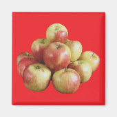 Mcintosh Apples Magneet (Voorkant)