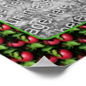 McIntosh Apples Natuur Lijst Creëer Uw eigen foto Poster (Hoek)