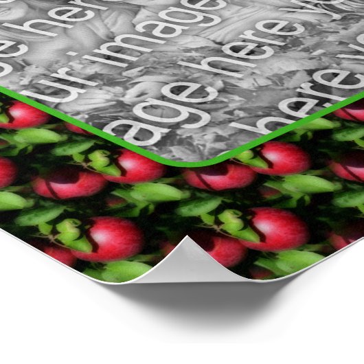 McIntosh Apples Natuur Lijst Creëer Uw eigen foto Poster (Hoek)