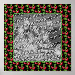 McIntosh Apples Natuur Lijst Creëer Uw eigen foto Poster