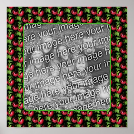 McIntosh Apples Natuur Lijst Creëer Uw eigen foto Poster (Voorkant)