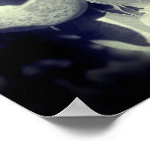 McIntosh Apples on Tree in Black and White Poster (Hoek)