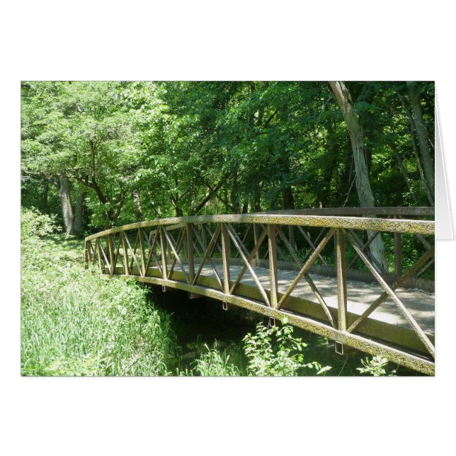 McIntosh Bossen State Park, Iowa (Voorkant Horizontaal)