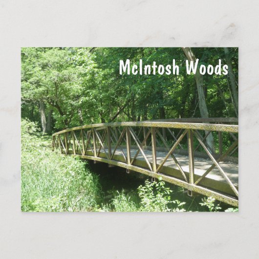 McIntosh Bossen State Park, Iowa Briefkaart (Voorkant)