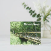 McIntosh Bossen State Park, Iowa Briefkaart (Staand voorkant)