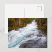McKenzie River | Oregon Briefkaart (Voorkant / Achterkant)