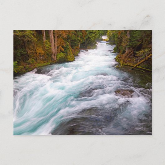 McKenzie River | Oregon Briefkaart (Voorkant)