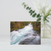 McKenzie River | Oregon Briefkaart (Staand voorkant)