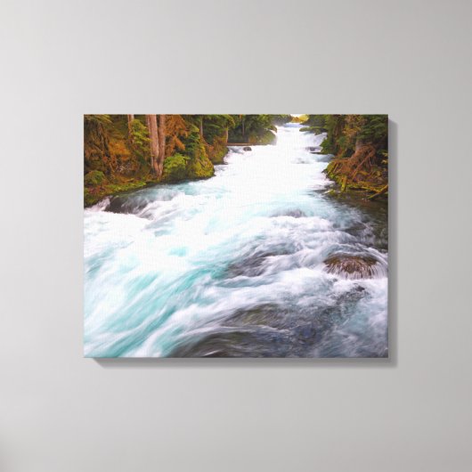 McKenzie River | Oregon Canvas Afdruk (Voorkant)
