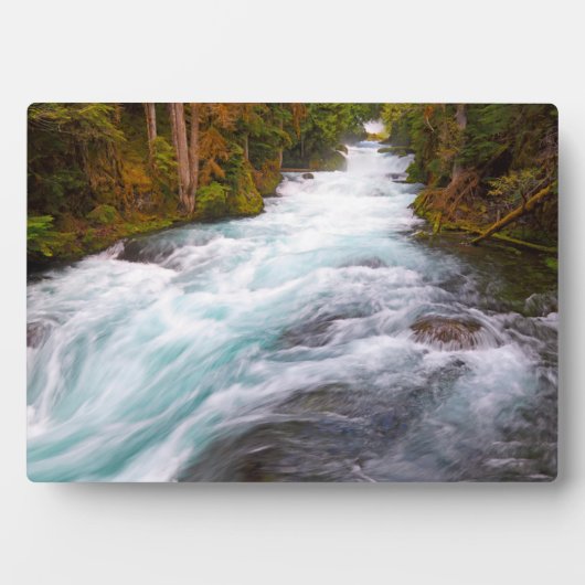 McKenzie River | Oregon Fotoplaat (voorkant)